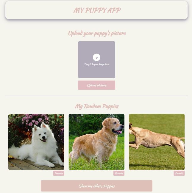 App de perritos